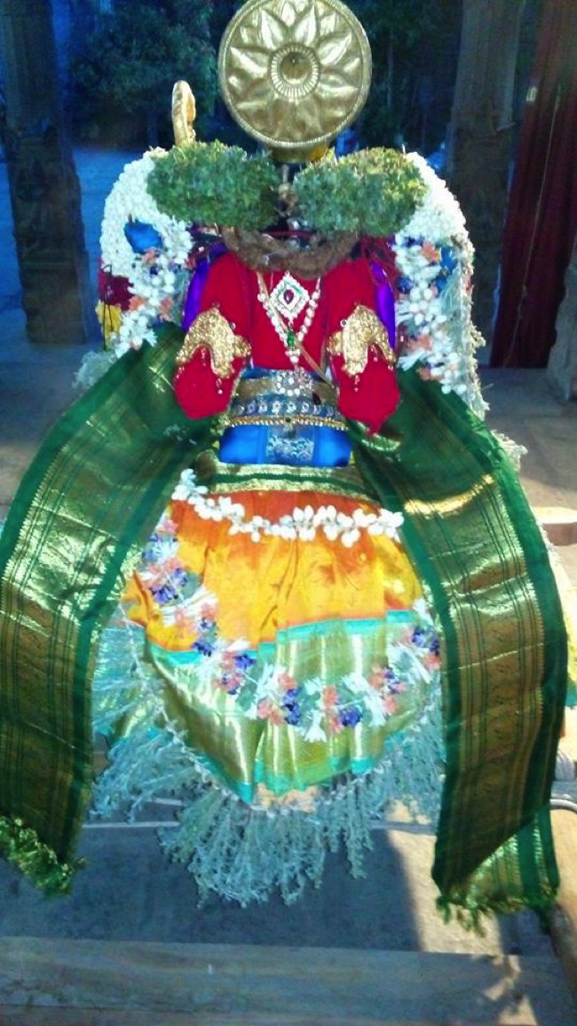 Puduvayal Sri Vijayaragahva Perumal Temple Brahmotsavam Ramavathara THirukolam 2014--01