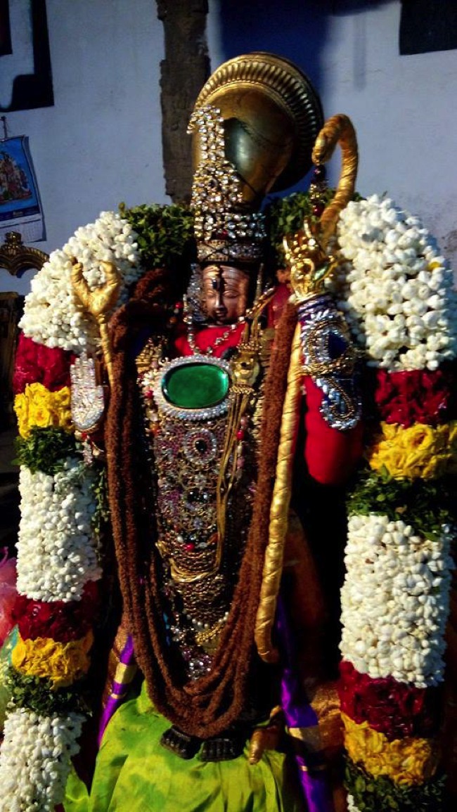 Puduvayal Sri Vijayaragahva Perumal Temple Brahmotsavam Ramavathara THirukolam 2014--02