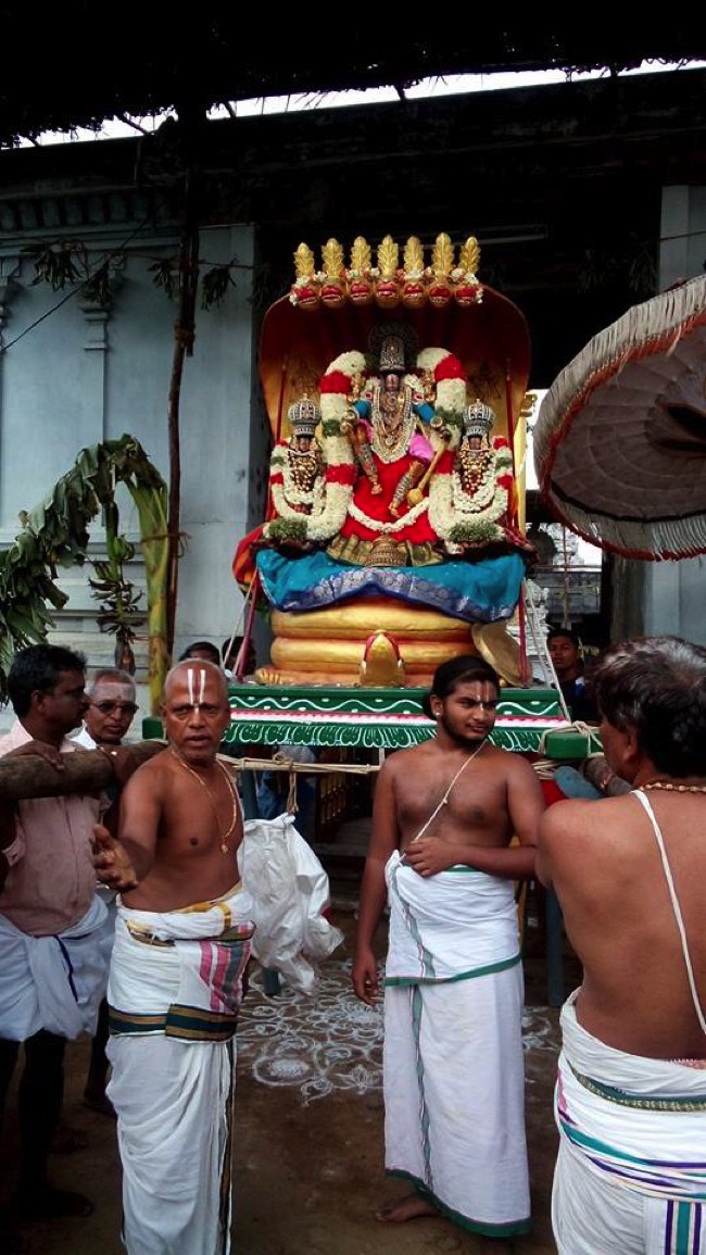 Puduvayal Sri Vijayaragahva Perumal Temple Brahmotsavam Sesha vahanam 2014--00