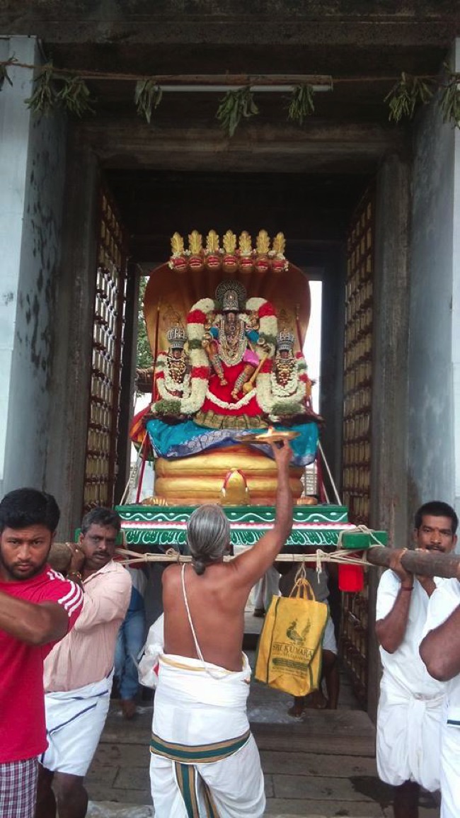 Puduvayal Sri Vijayaragahva Perumal Temple Brahmotsavam Sesha vahanam 2014--01