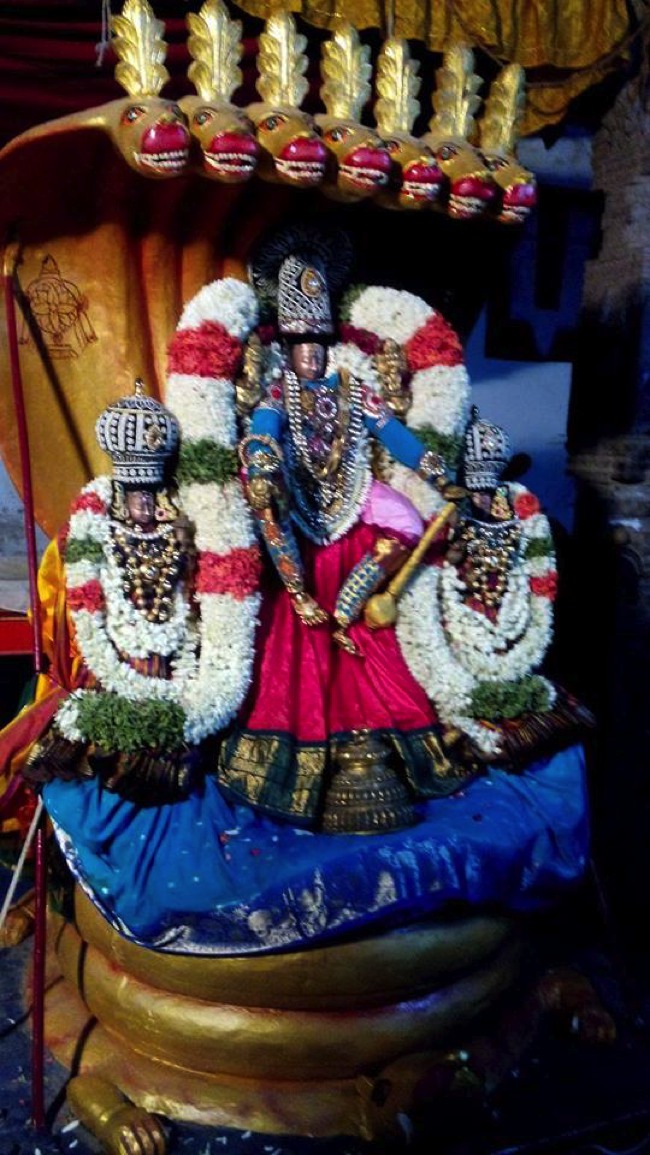 Puduvayal Sri Vijayaragahva Perumal Temple Brahmotsavam Sesha vahanam 2014--02