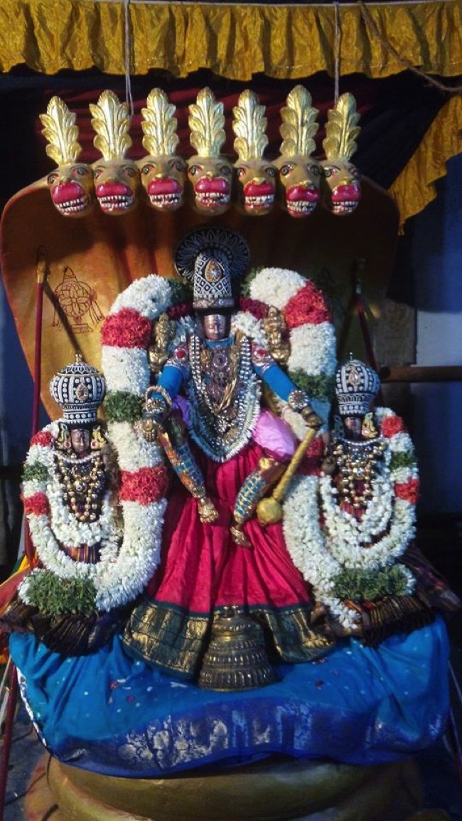 Puduvayal Sri Vijayaragahva Perumal Temple Brahmotsavam Sesha vahanam 2014--04