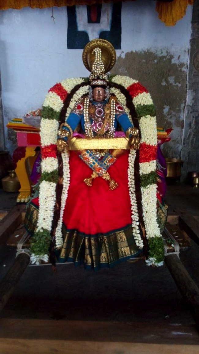 Puduvayal Sri Vijayaragahva Perumal Temple Brahmotsavam Yoga Narasimhan THirukolam 2014--00