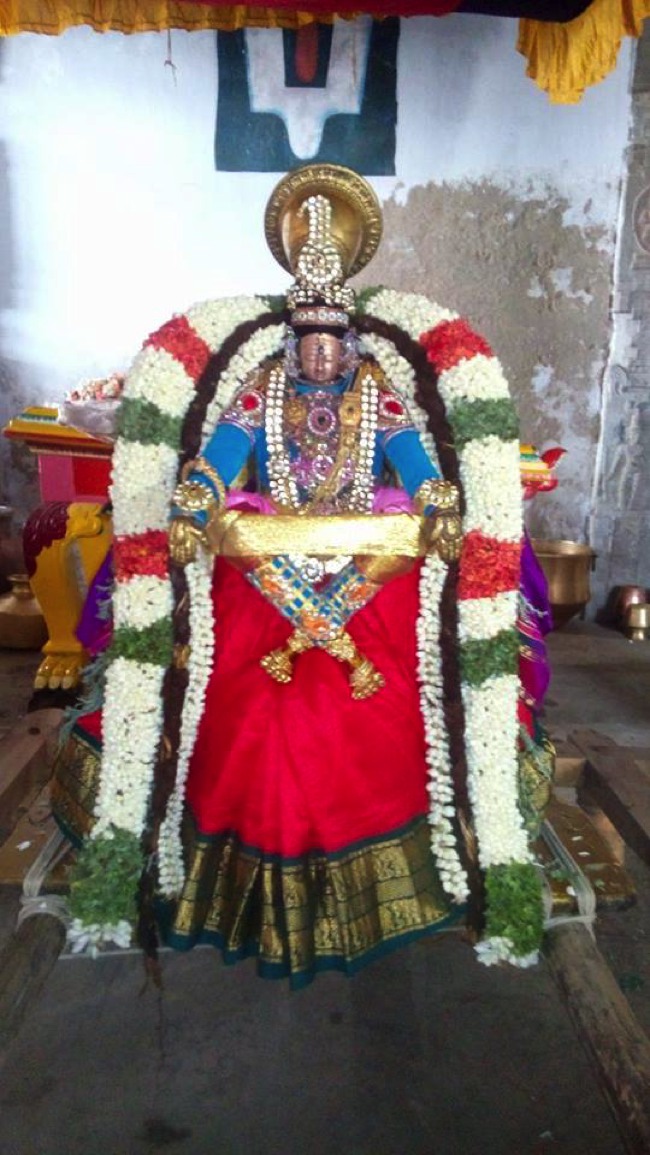 Puduvayal Sri Vijayaragahva Perumal Temple Brahmotsavam Yoga Narasimhan THirukolam 2014--02