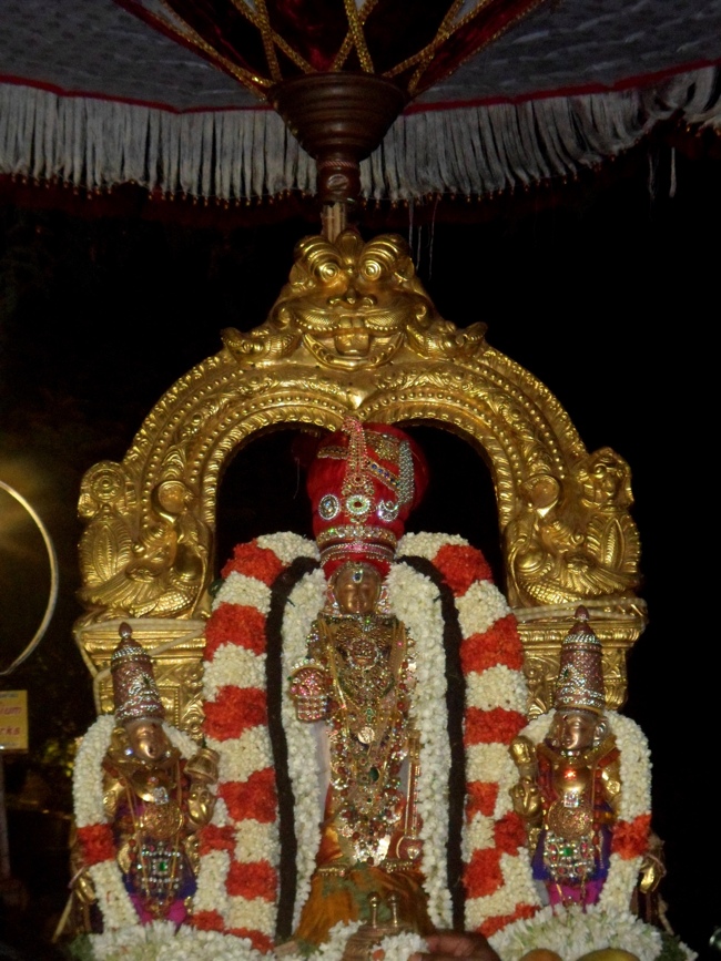 SVDD Mylapore Srinivasa Perumal Akshaya Thrrethiyay Purappadu 02-05-2014     09