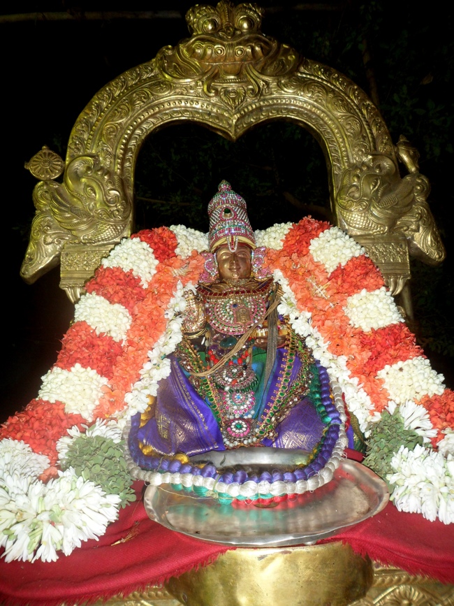 SVDD Mylapore Srinivasa Perumal Akshaya Thrrethiyay Purappadu 02-05-2014     10