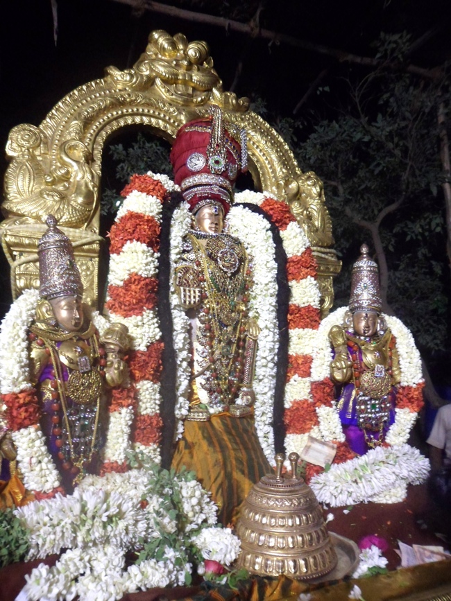 SVDD Mylapore Srinivasa Perumal Akshaya Thrrethiyay Purappadu 02-05-2014     16