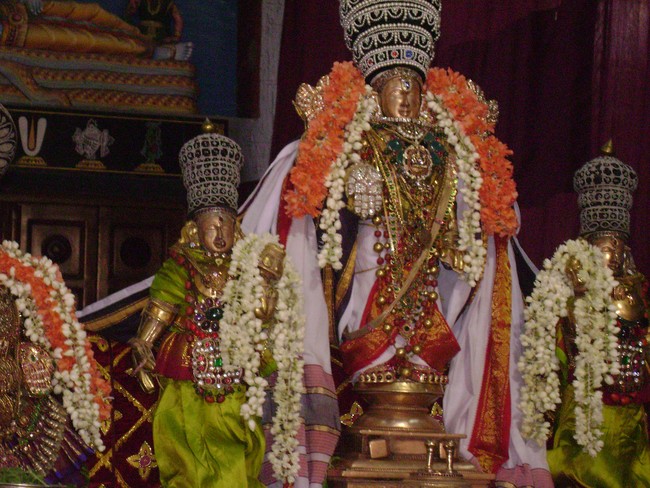 SVDD Sri ramanujar Avatara Utsavam day 6  2014 -02