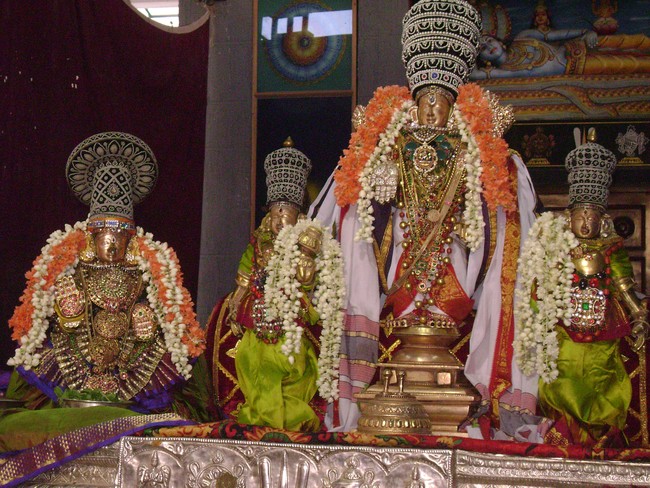 SVDD Sri ramanujar Avatara Utsavam day 6  2014 -06