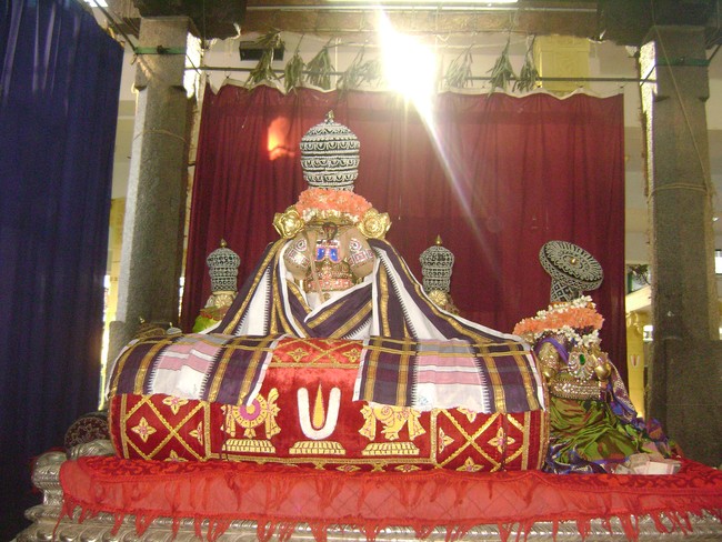 SVDD Sri ramanujar Avatara Utsavam day 6  2014 -09