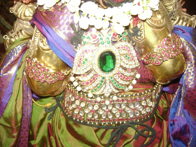 SVDD Sri ramanujar Avatara Utsavam day 6  2014 -11