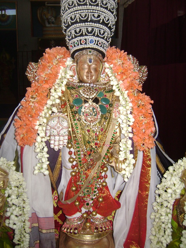 SVDD Sri ramanujar Avatara Utsavam day 6  2014 -12