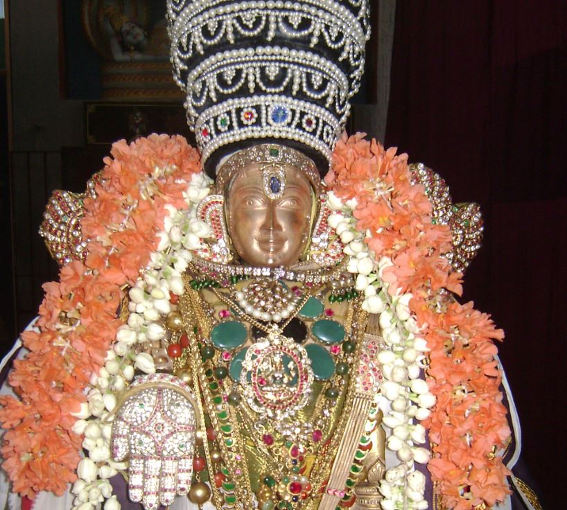 SVDD Srinivasa Perumal Vasanthotsavam day 1