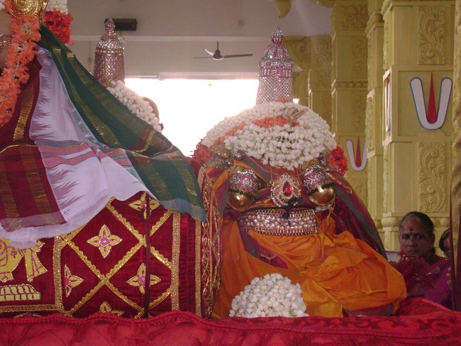 SVDD Srinivasa Perumal temple Sri Ramanujar Avatara Utsavam day 7  2014 -06