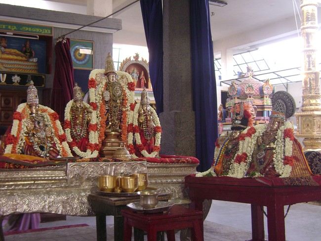 SVDD Srinivasa Perumal temple Sri Ramanujar Avatara Utsavam day 7  2014 -09