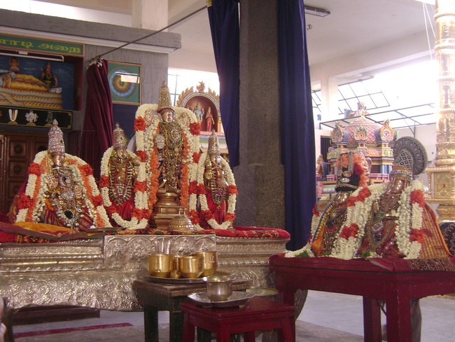 SVDD Srinivasa Perumal temple Sri Ramanujar Avatara Utsavam day 7  2014 -11