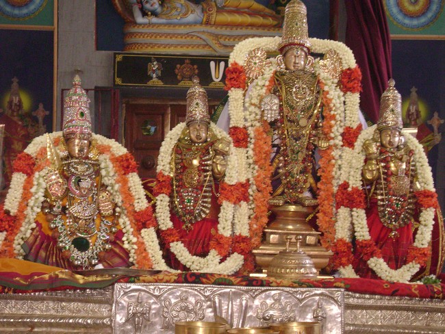 SVDD Srinivasa Perumal temple Sri Ramanujar Avatara Utsavam day 7  2014 -12