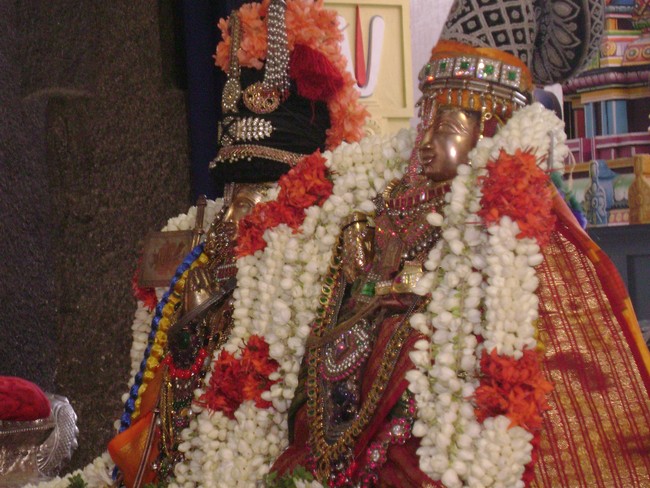 SVDD Srinivasa Perumal temple Sri Ramanujar Avatara Utsavam day 7  2014 -13