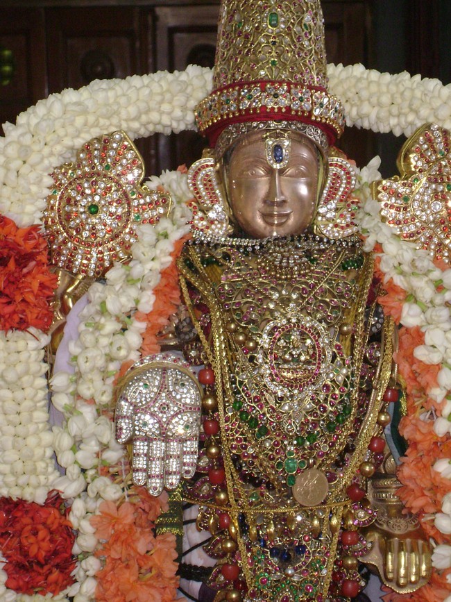 SVDD Srinivasa Perumal temple Sri Ramanujar Avatara Utsavam day 7  2014 -14