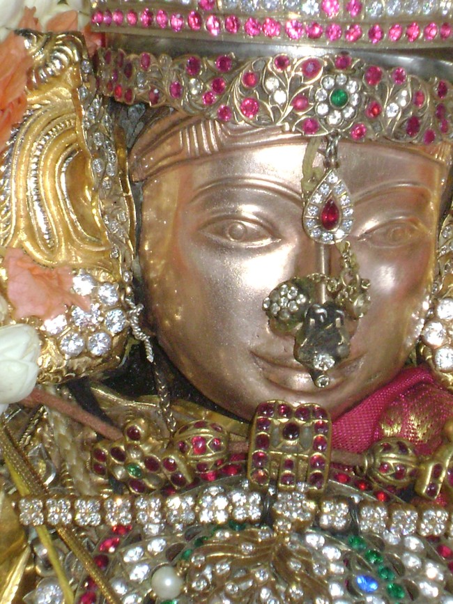 SVDD Srinivasa Perumal temple Sri Ramanujar Avatara Utsavam day 7  2014 -16