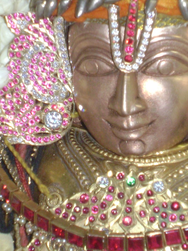 SVDD Srinivasa Perumal temple Sri Ramanujar Avatara Utsavam day 7  2014 -19