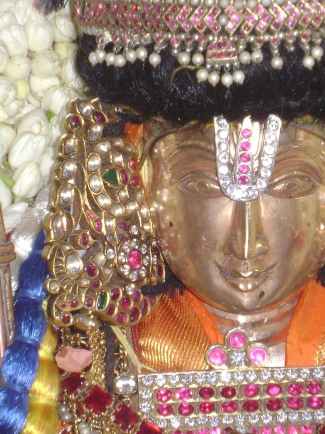 SVDD Srinivasa Perumal temple Sri Ramanujar Avatara Utsavam day 7  2014 -20