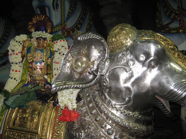 Sarangapani temple Chithirai Brahmotsavam Yanai Vahanam 2014--02