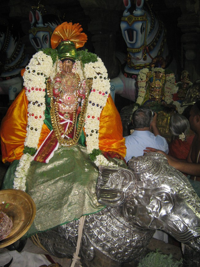 Sarangapani temple Chithirai Brahmotsavam Yanai Vahanam 2014--04