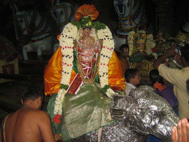 Sarangapani temple Chithirai Brahmotsavam Yanai Vahanam 2014--07