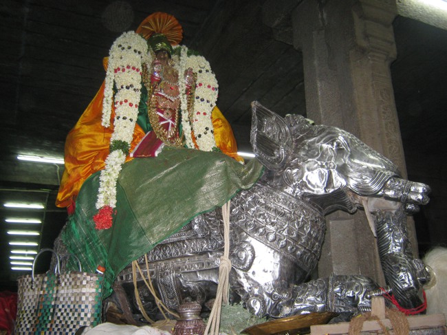 Sarangapani temple Chithirai Brahmotsavam Yanai Vahanam 2014--11