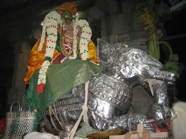 Sarangapani temple Chithirai Brahmotsavam Yanai Vahanam 2014--12