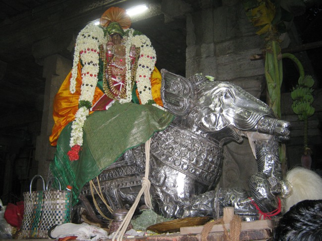 Sarangapani temple Chithirai Brahmotsavam Yanai Vahanam 2014--13