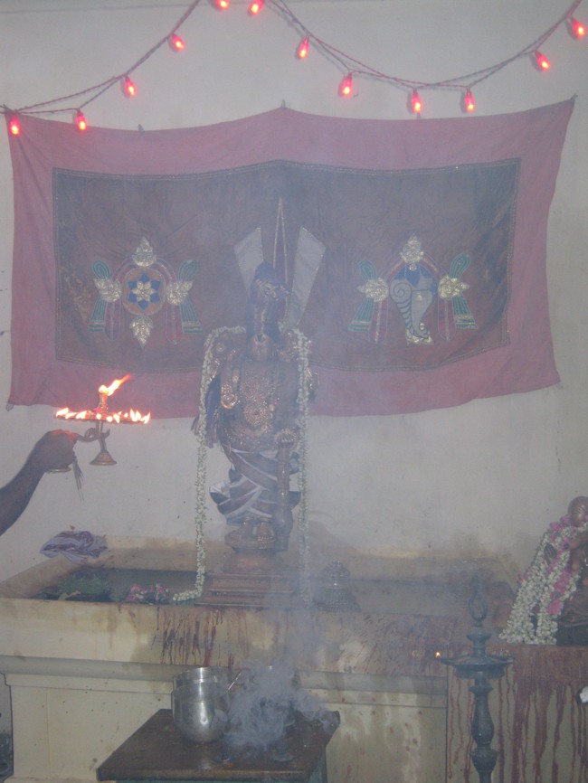 Sri Aravamudhan Sannadhi Ramanuja Jayanthi 2014--34