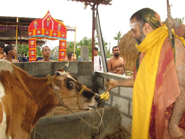 Sri Lakshmi Mahamantra Mahakoti yagam day 8 2014--0066