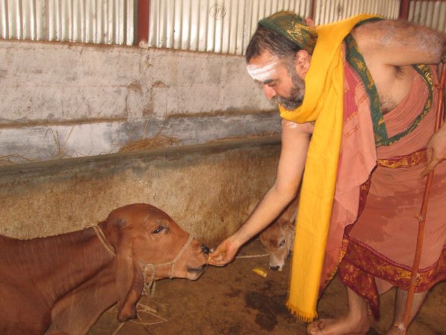 Sri Lakshmi Mahamantra Mahakoti yagam day 8 2014--0067