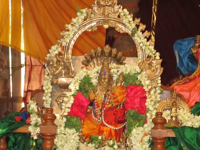 Sri Lakshmi Mahamantra Mahakoti yajna 2014--0024