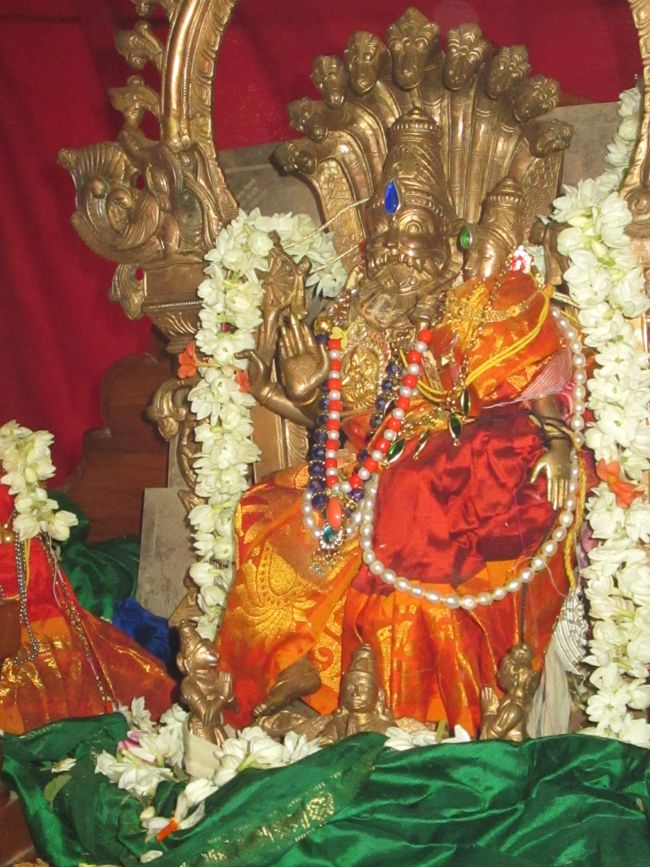 Sri Lakshmi Narasimha Mahamantra Koti Maha Yajna 2014 -038