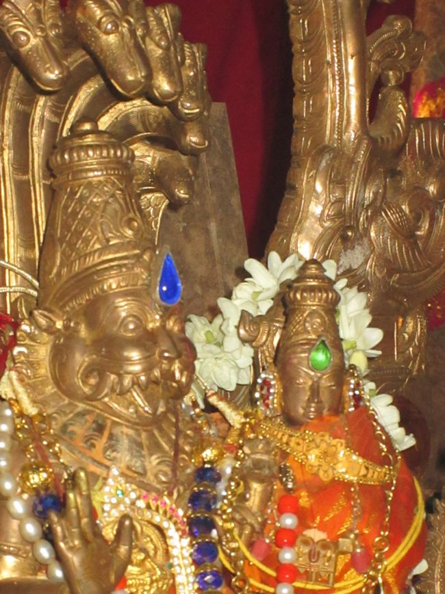 Sri Lakshmi Narasimha Mahamantra Koti Maha Yajna 2014 -039
