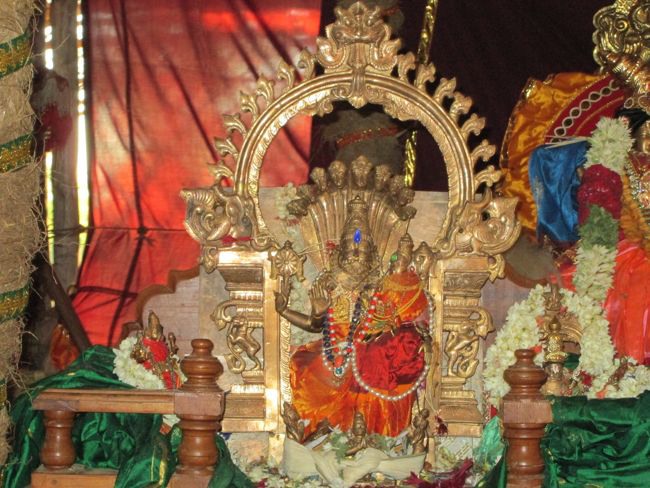 Sri Lakshmi Narasimha Mahayajna day 9 2014--0018