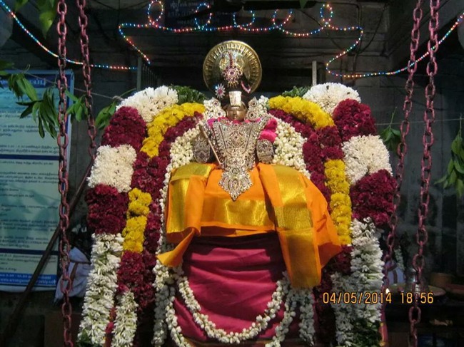 Sri Ramanuja Jayanthi at Vandavasi Perumal Kovil 2014--00