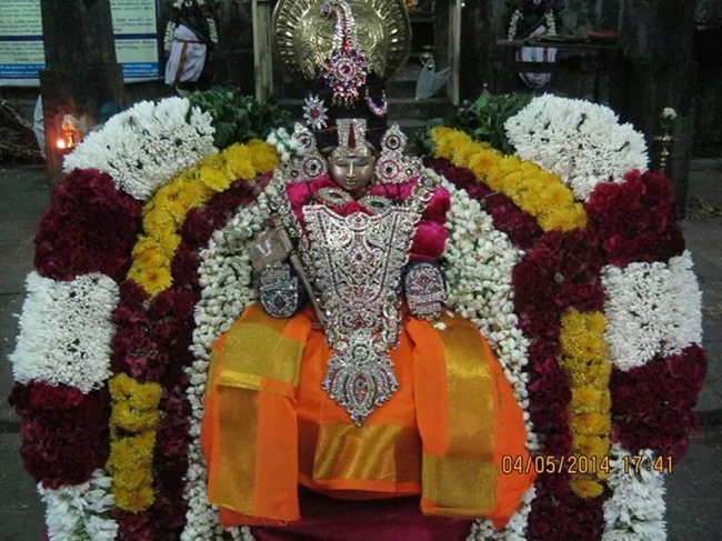 Sri Ramanuja Jayanthi at Vandavasi Perumal Kovil 2014--01