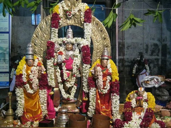 Sri Ramanuja Jayanthi at Vandavasi Perumal Kovil 2014--06
