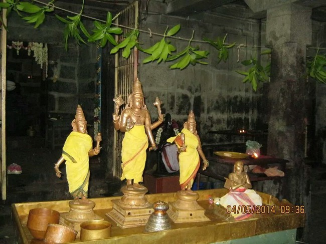 Sri Ramanuja Jayanthi at Vandavasi Perumal Kovil 2014--17