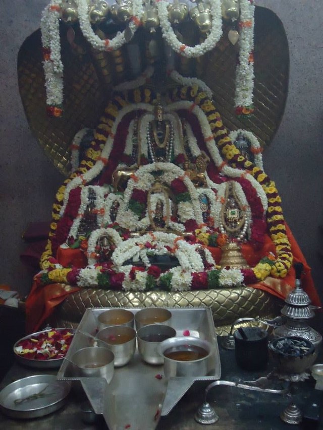 Srimushnam Andavan 80th Thirunakshatra Utsavam day 1-21
