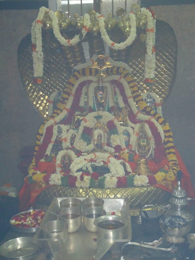Srimushnam Andavan 80th Thirunakshatra Utsavam day 1-24