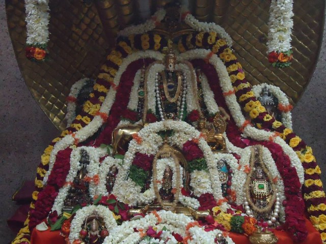 Srimushnam Andavan 80th Thirunakshatra Utsavam day 1-27