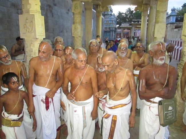 Srirangam Namperumal 2nd day Poochatru Utsavam 2014 -20