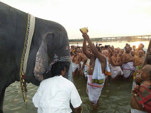 Srirangam Namperumal Gajendra Moksham at Amma Mandapam 2014 -02