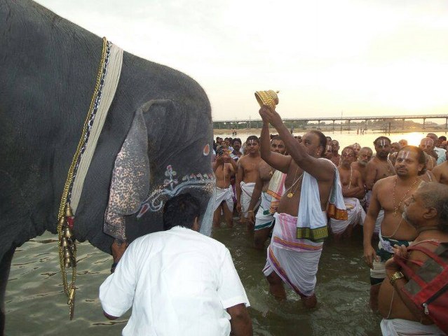 Srirangam Namperumal Gajendra Moksham at Amma Mandapam 2014 -06