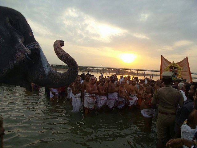 Srirangam Namperumal Gajendra Moksham at Amma Mandapam 2014 -07